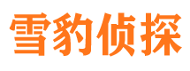 古县捉小三公司